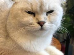 -平行世界·猫咖(首经贸店)