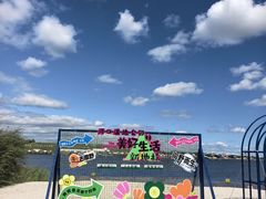 -呼兰河口湿地公园