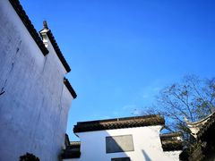 -广富林郊野公园