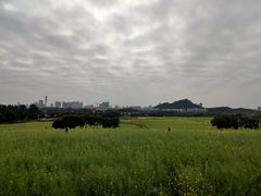 -光明小镇欢乐田园
