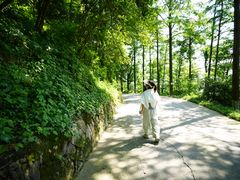 -莫干山风景区