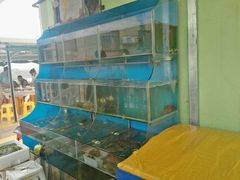 -海月湾海景餐厅( 嵊泗本地老字号店)