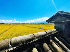 -喜林苑·稻田餐厅(品相府店)