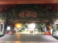 -呀诺达热带雨林
