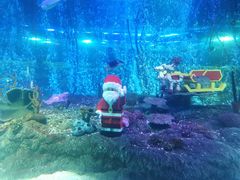 -沈阳海洋探索中心