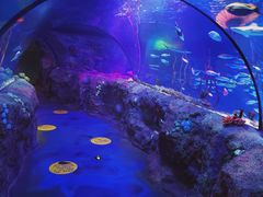 -沈阳海洋探索中心