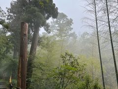 -东天目山风景区
