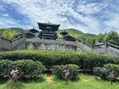 -大唐贡茶院