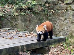 -杭州少年儿童公园
