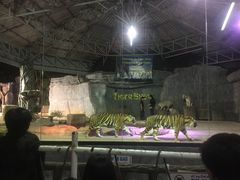 -清迈夜间动物园