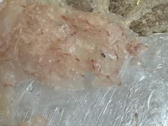 -官塘陈记鱼生·潮汕砂锅粥·牛肉火锅(潮枫路总店)