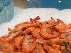 -東盛炭烤自助料理(浦东文峰广场店)