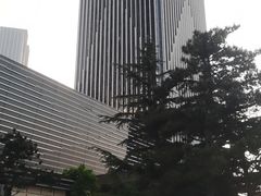 -富力希尔顿酒店·地阔自助餐厅