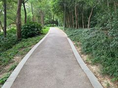 -美兰湖景区