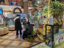 -卡通尼·Safari非洲探索乐园·生日会(金桥国际商业广场店)