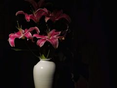 -觀芷隐轩