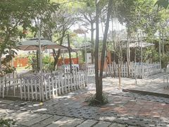 -陶缘一号·四季缘·老字号顺德菜·户外婚礼家宴(西滘店)