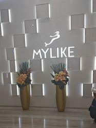 -深圳美莱医疗美容医院