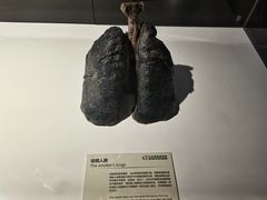 -生命奥秘博物馆