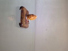 iphone_upload_pic-中福古玩城(浙江中路店)