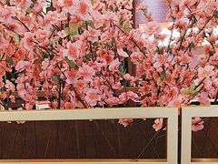 -刘一锅筋头巴脑(大悦城C店)