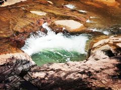 -广州白江湖森林公园