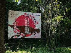 -自然谷恐龙园