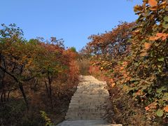 -北京西山国家森林公园