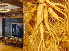 人参-长寿参鸡汤(朝韩风情街店)