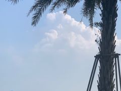 -深圳湾公园(南山区)