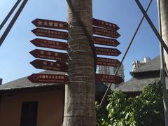 -三亚湾红树林度假世界(木棉酒店)