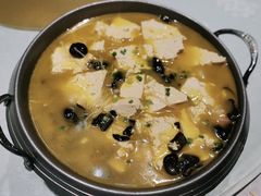 锅仔柴火豆腐-雲蜀龙阁·金牌水煮鱼(方庄店)