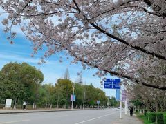 -江南大学(蠡湖校区)