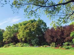 -上海共青森林公园