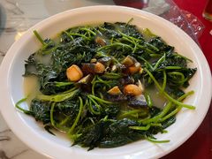 -云顶山庄·粤菜·农家菜(共和店)