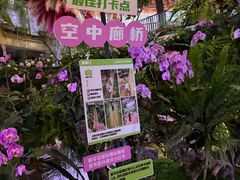 -正佳雨林生态植物园