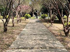 -紫马岭公园