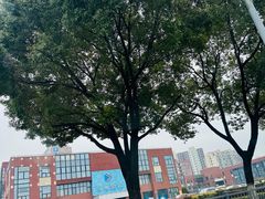 -骏丰·嘉天下-停车场