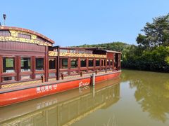 -大湾区中央湿地公园