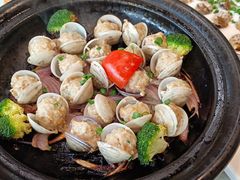 蛤蜊肉丸-温岭人家(红花北路店)