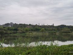 -广东花都湖国家湿地公园