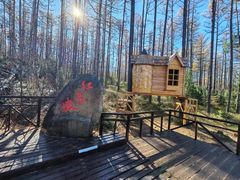 -莫尔道嘎国家森林公园