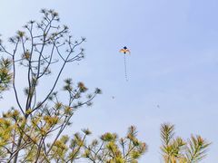 -象湖生态湿地公园