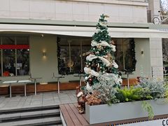 -Seesaw Coffee(上生新所店)