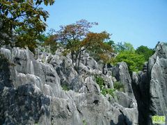 android_upload_pic-千岛湖石林