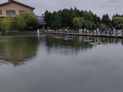 -溱湖国家湿地公园