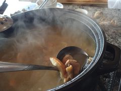 -蘑统田下·野生菌火锅