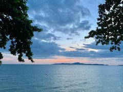 景观位-卷心菜和避孕套餐厅(Pattaya)