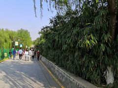 -西安汉城湖景区