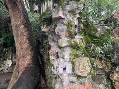 -绍兴鲁迅故里·沈园景区